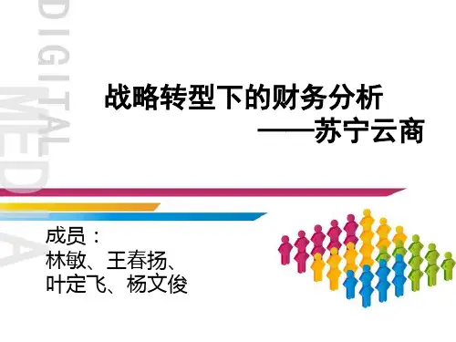 苏宁云商的财务报表分析