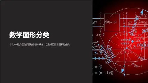 《数学图形分类》课件