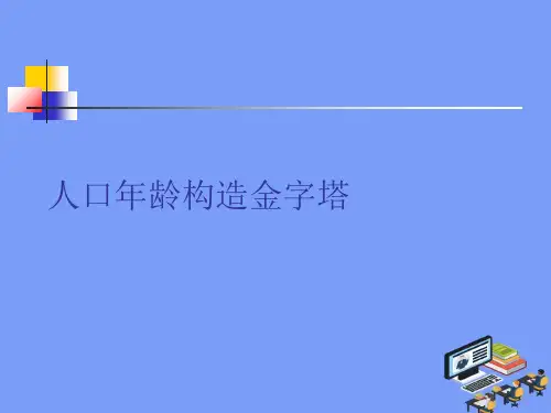 2021人口年龄结构金字塔 完美版PPT