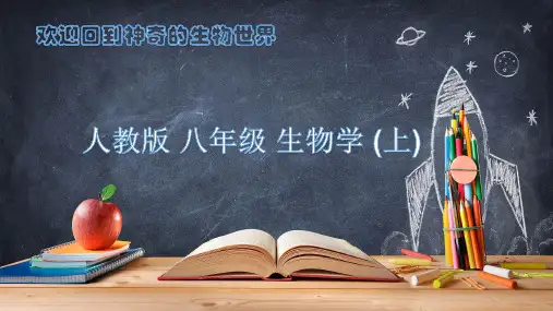 5.4.2细菌课件-2024--2025学年人教版生物七年级上册