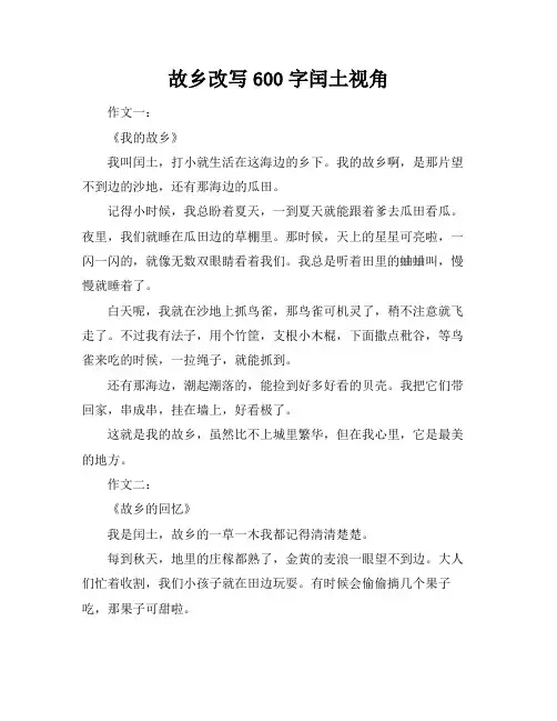 故乡改写600字闰土视角