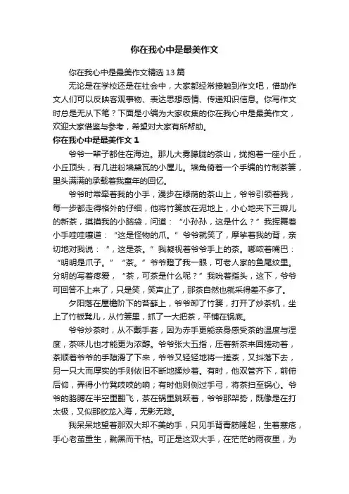 你在我心中是最美作文