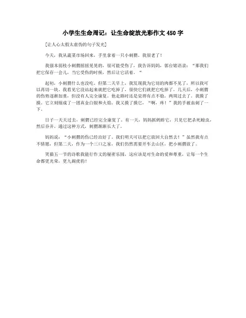 小学生生命周记：让生命绽放光彩作文450字