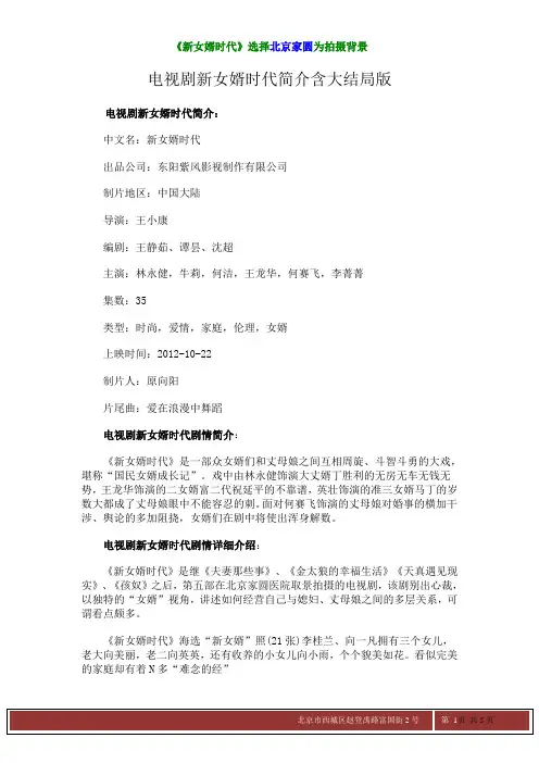 电视剧新女婿时代简介含大结局版