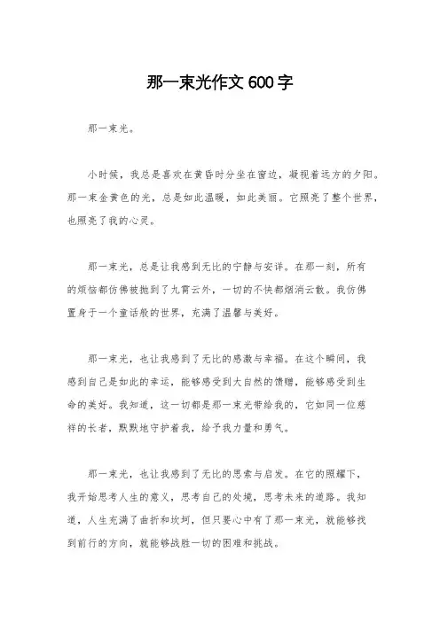那一束光作文600字