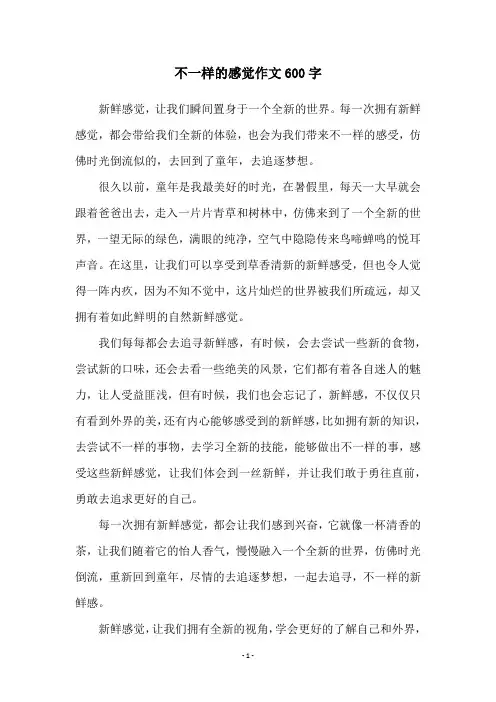 不一样的感觉作文600字