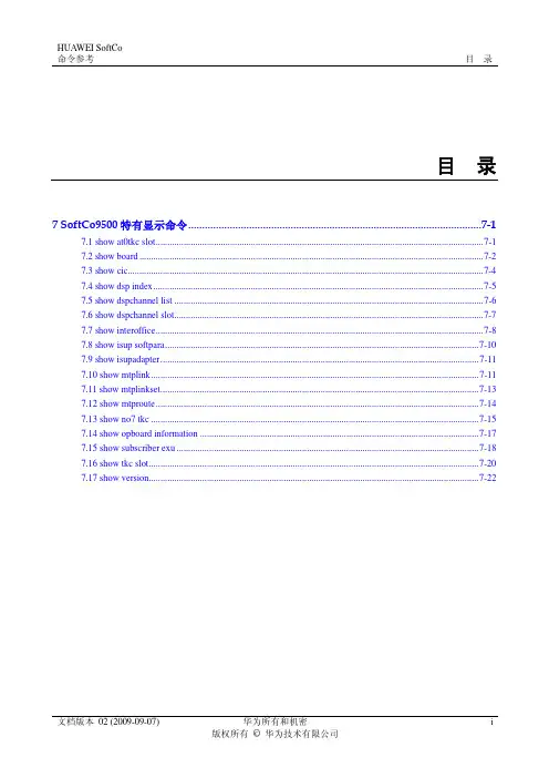 01-07 SoftCo9500特有显示命令