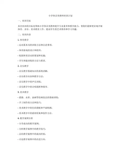 小学体音美教师培训计划