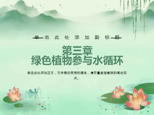 绿色植物与生物圈的水循环(最新人教版)