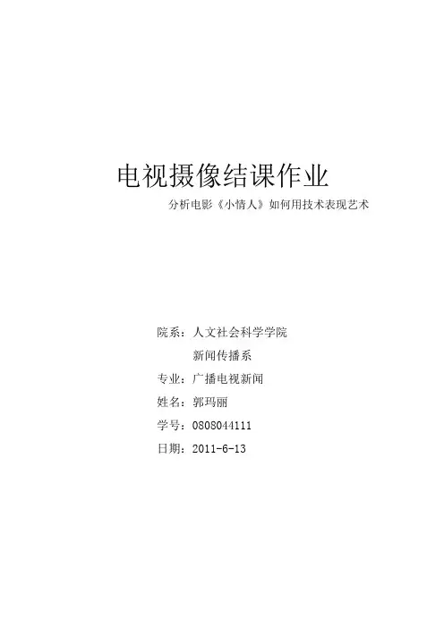 小情人 影片分析