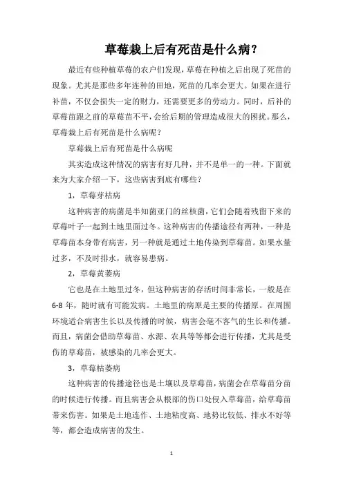 草莓栽上后有死苗是什么病？