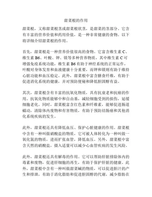 甜菜根的作用