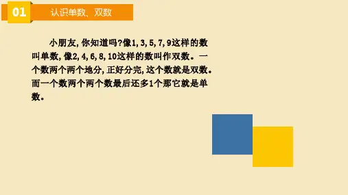 一年级数学思维单数和双数ppt课件