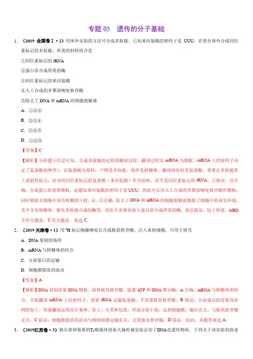 专题05 遗传的分子基础-三年(2017-2019)高考真题生物分项汇编(带解析)