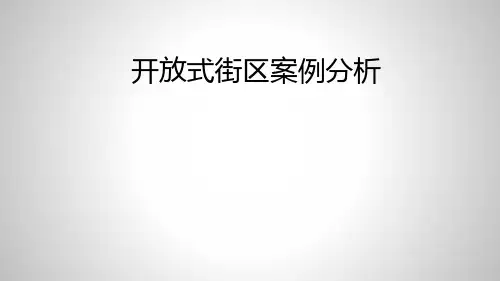 (精品)开放式街区案例分析