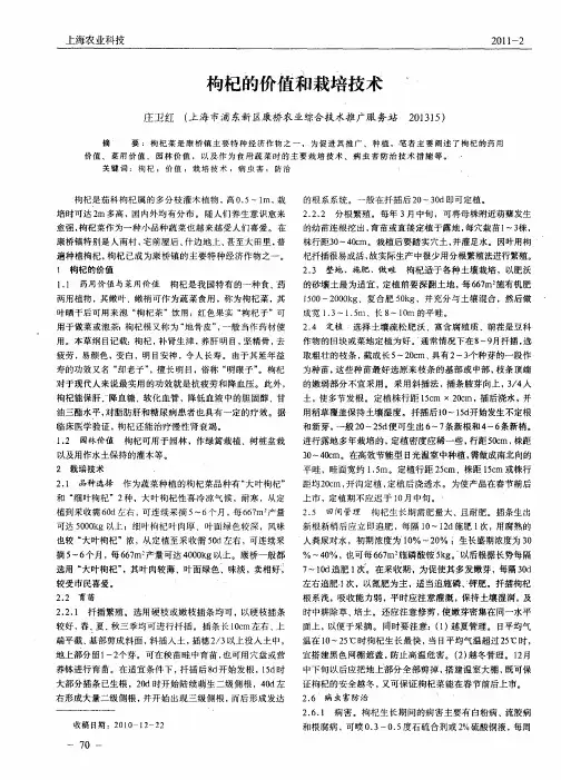 枸杞的价值和栽培技术