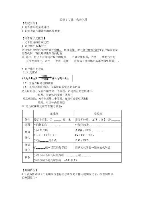 完整版高考生物专题光合作用知识点及专题练习