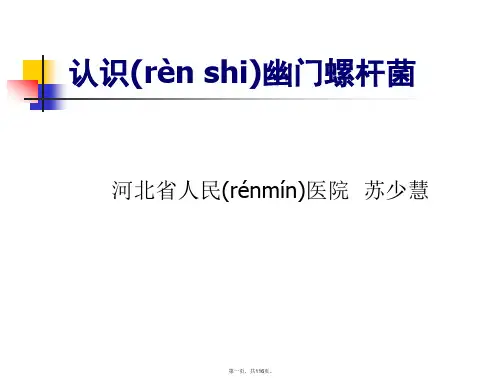 认识幽门螺杆菌 ppt课件