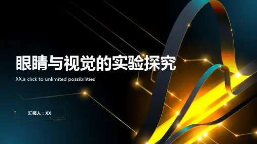 眼睛与视觉的实验探究