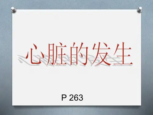 组织胚胎学课件：25_心脏发生