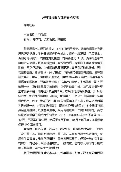 芹叶牡丹的习性和养殖方法