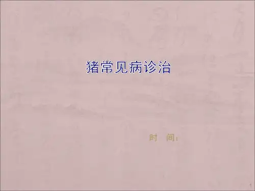 猪常见病诊治ppt课件