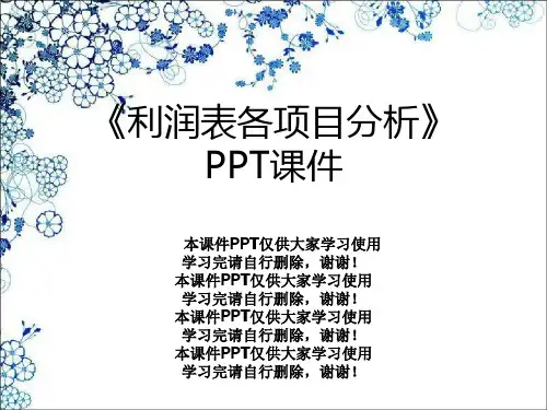 《利润表各项目分析》PPT课件