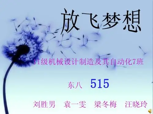 515寝室ppt