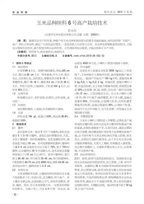 玉米品种陕科6号高产栽培技术