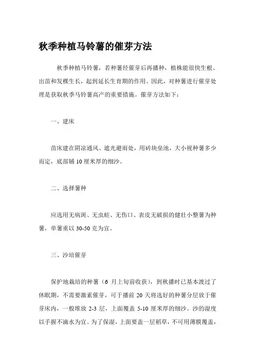 秋季种植马铃薯的催芽方法