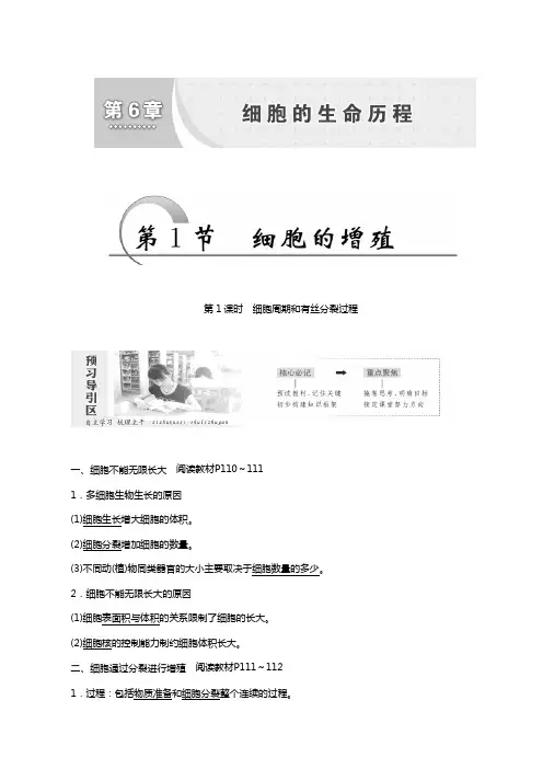 人教版高考生物必修1同步学案第6章 第1节 第1课时 细胞周期和有丝分裂过程