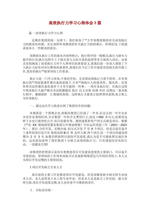 高效执行力学习心得体会3篇