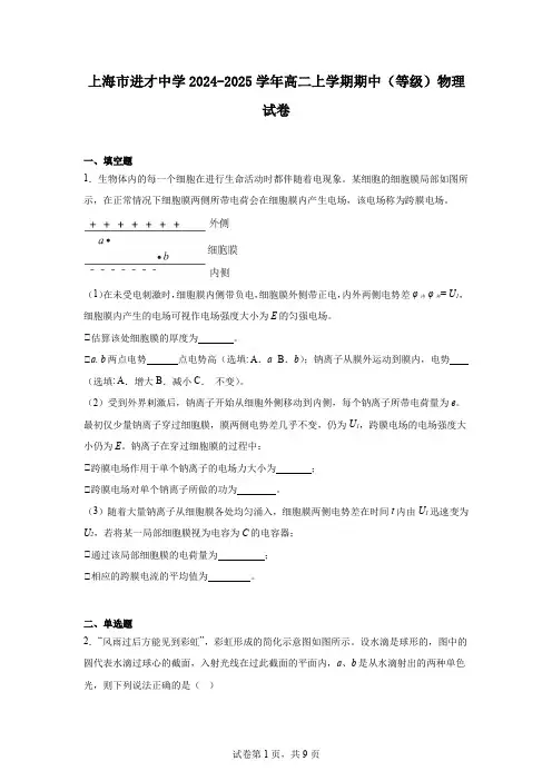 上海市进才中学2024-2025学年高二上学期期中(等级)物理试卷