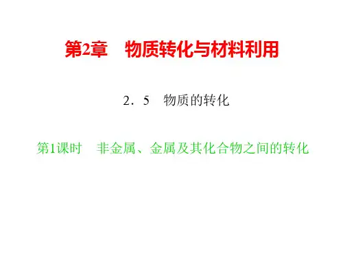 新浙教版九年级科学上册习题课件：2.5 物质的转化 第1课时 非金属、金属及其化合物之间的转化