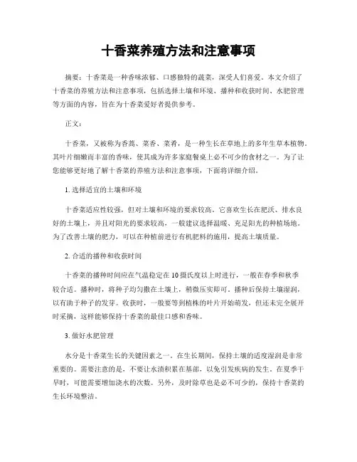 十香菜养殖方法和注意事项