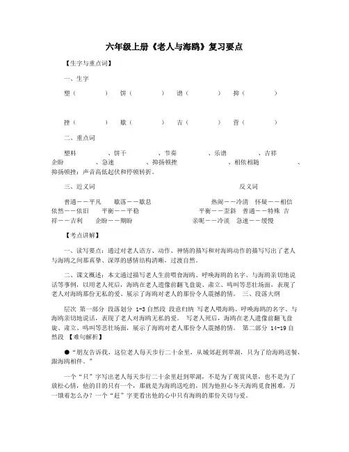 六年级上册《老人与海鸥》复习要点