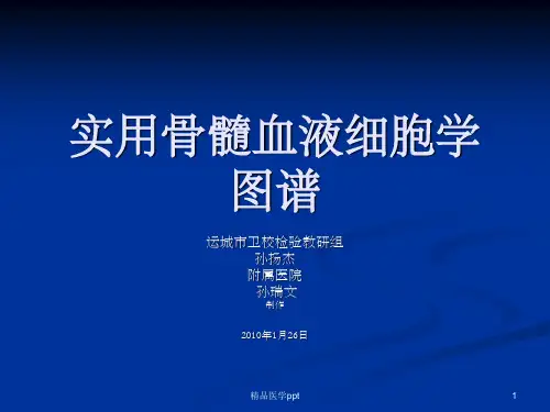 骨髓血液细胞诊断图谱