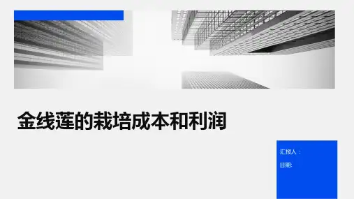 金线莲的栽培成本和利润