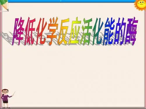 高中生物《降低化学反应活化能的酶》课件 新人教版必修1