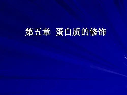 蛋白质的修饰