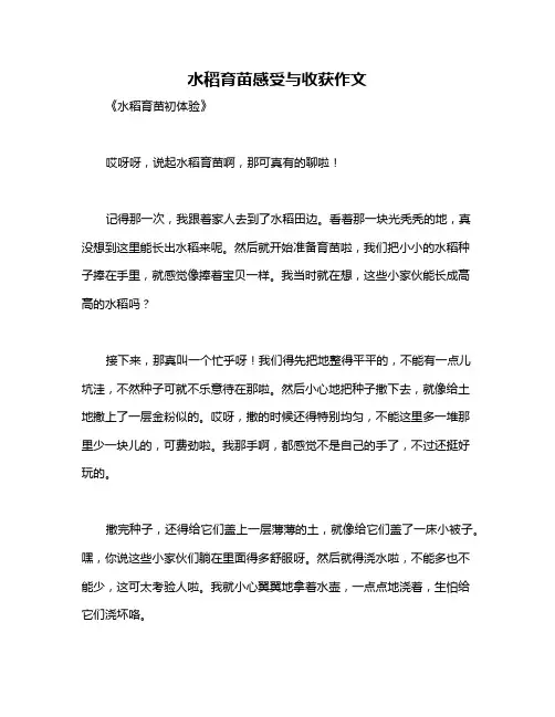 水稻育苗感受与收获作文