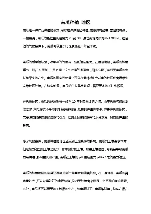 南瓜种植 地区