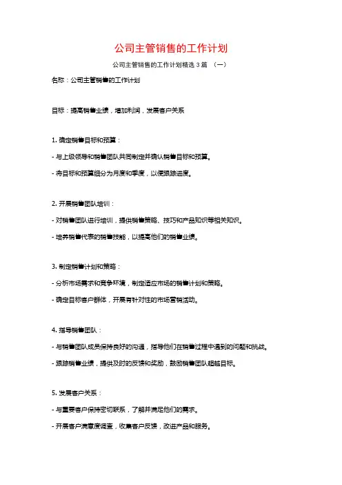 公司主管销售的工作计划3篇