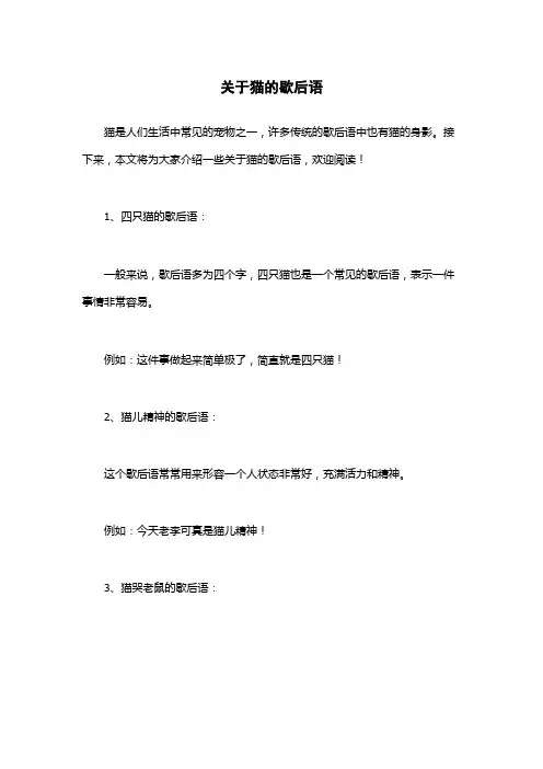关于猫的歇后语