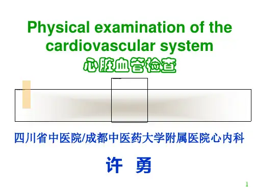 心脏查体