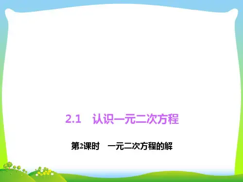 新北师大版九年级数学上册《一元二次方程的解》精品课件.ppt