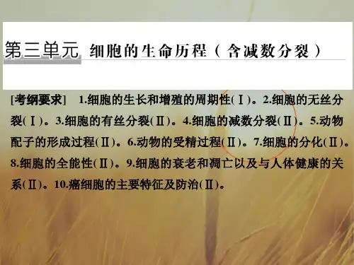 2018二轮专题复习生物课件：第三单元 细胞的生命历程含减数分裂