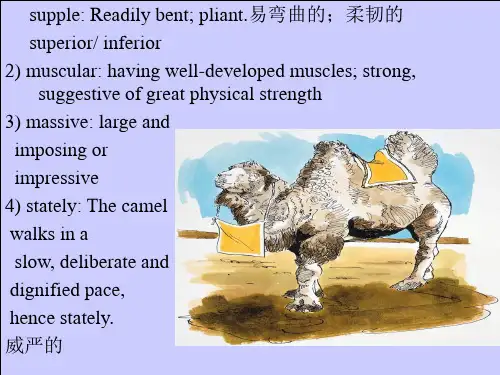 【ppt课件】高级英语课件_Lesson_2