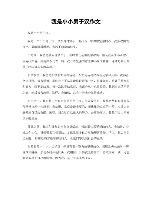 我是小小男子汉作文