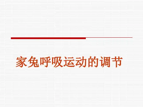 蔡_呼吸运动的调节要点